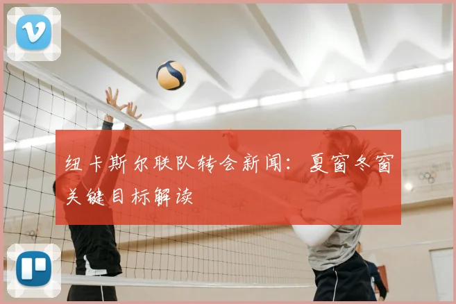 纽卡斯尔联队转会新闻：夏窗冬窗关键目标解读